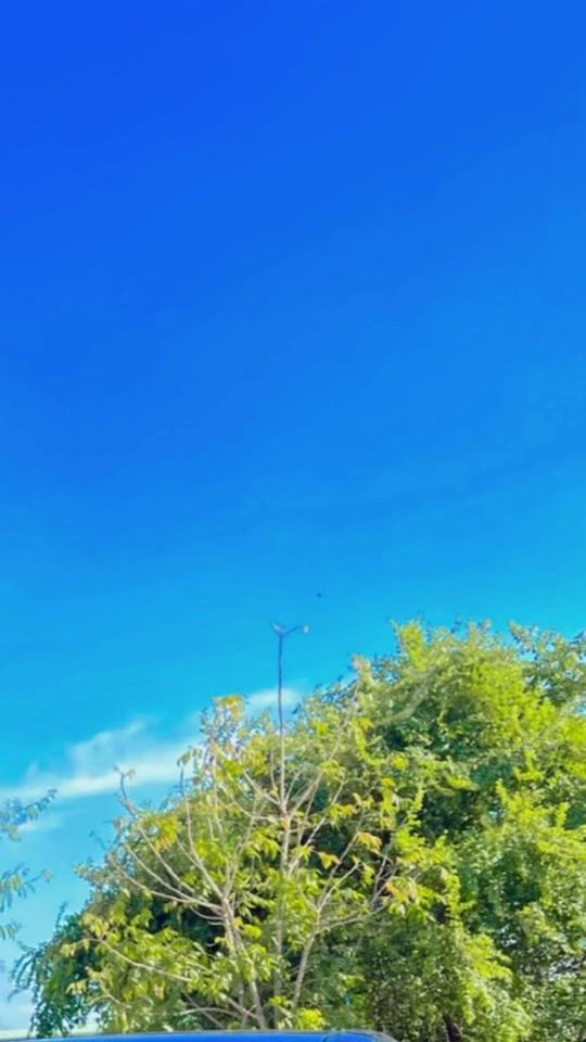 TikTok video thumbnail by ammyy1994