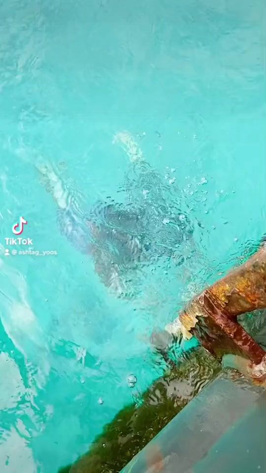 TikTok video thumbnail by alyykanaky