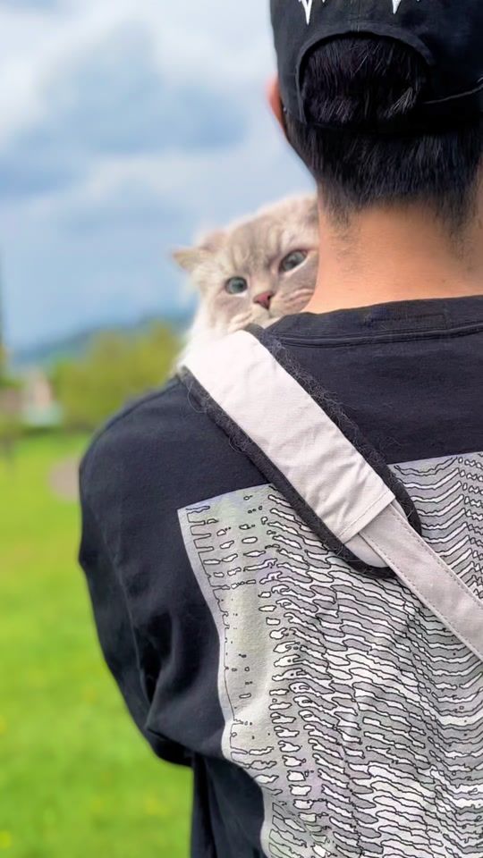 TikTok video thumbnail by eleven11neko