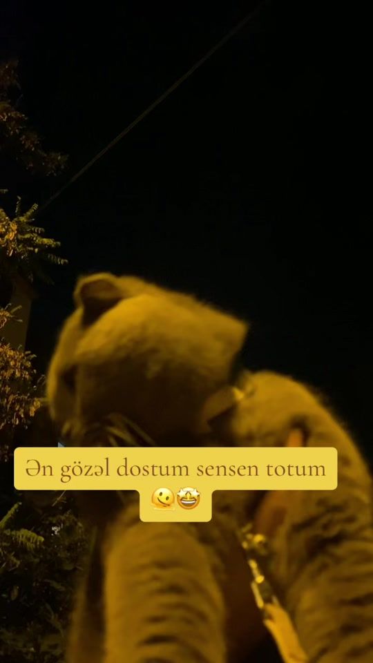 TikTok video thumbnail by patiik.15.05