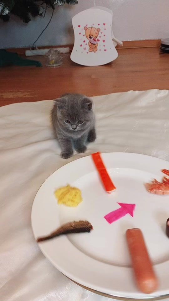 TikTok video thumbnail by malenkayaplushka