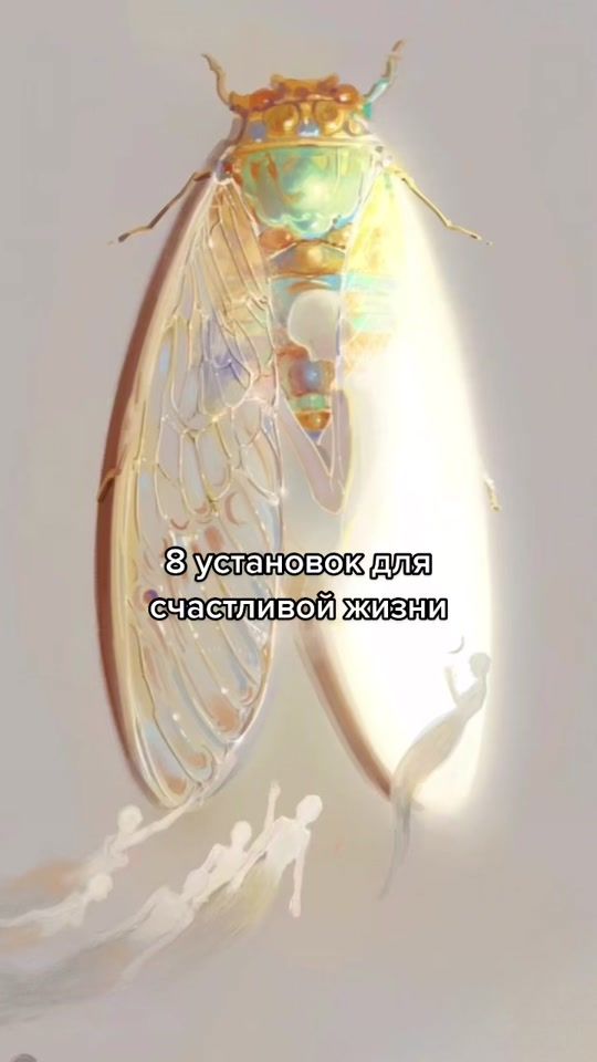 TikTok video thumbnail by universe.inme