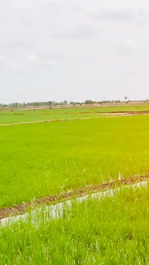 TikTok video thumbnail by khoso384