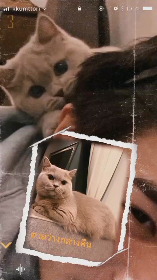 TikTok video thumbnail by momayproblem24