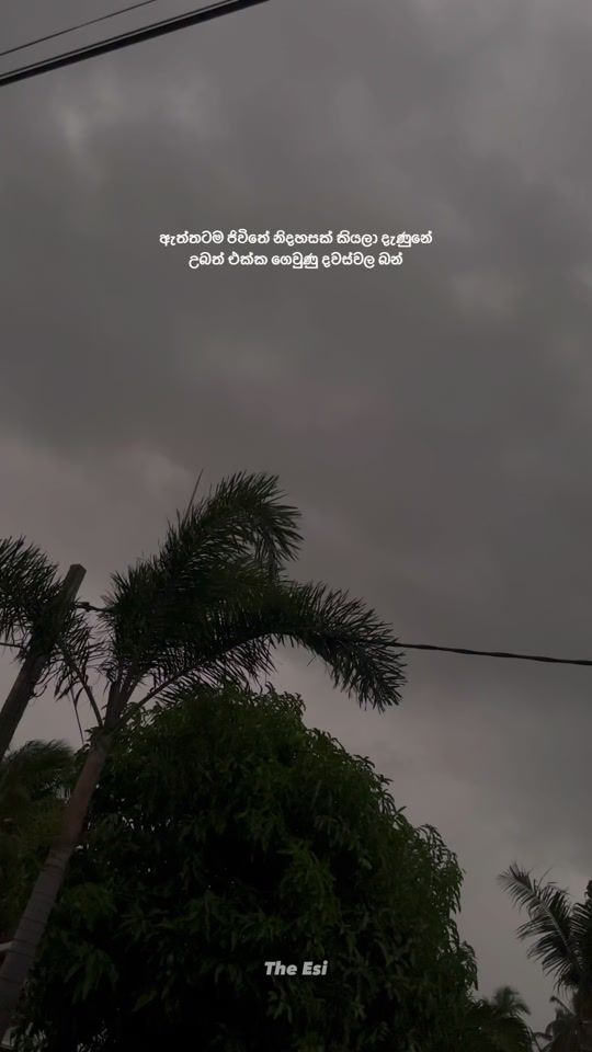TikTok video thumbnail by esi_quotes
