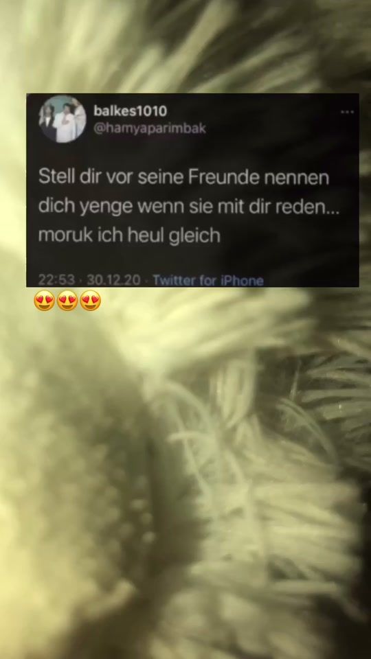 TikTok video thumbnail by einfachverzweifelt