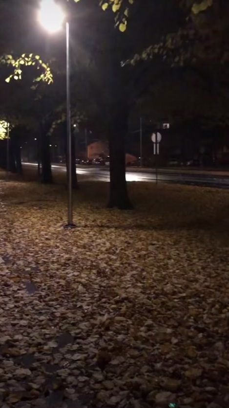 TikTok video thumbnail by moods435