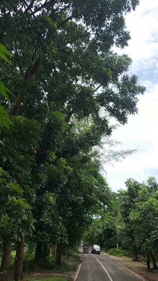 TikTok video thumbnail by opshoriyo