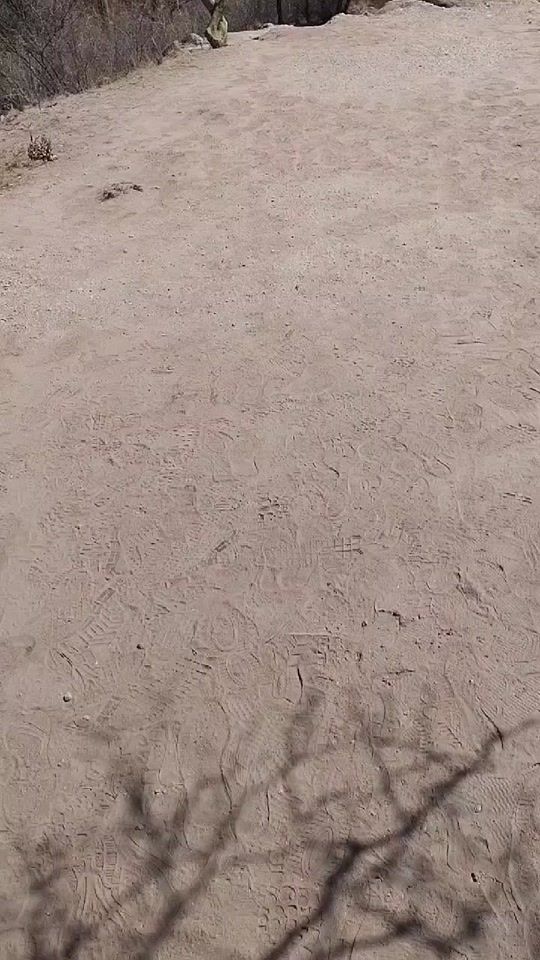 TikTok video thumbnail by nicolleandreaux