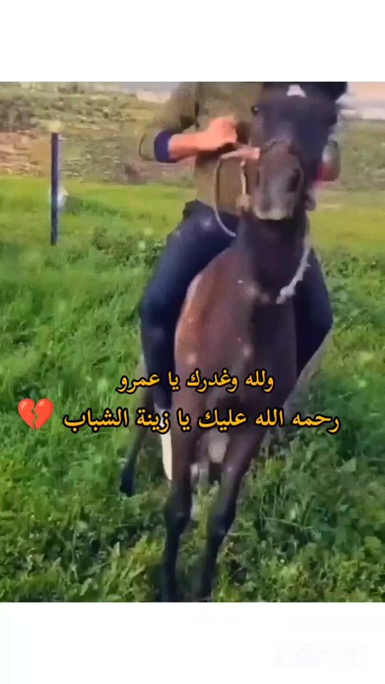 TikTok video thumbnail by alawn_eh7
