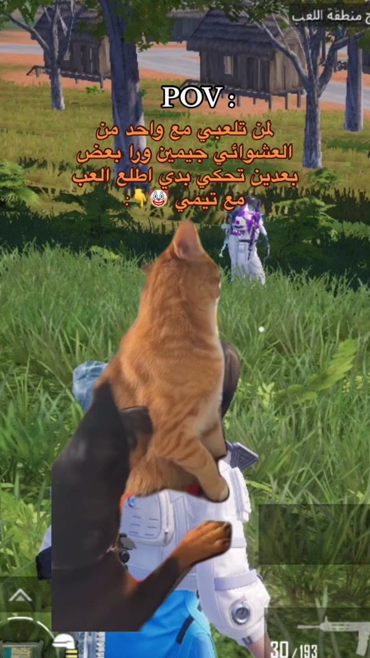 TikTok video thumbnail by lord_zezo