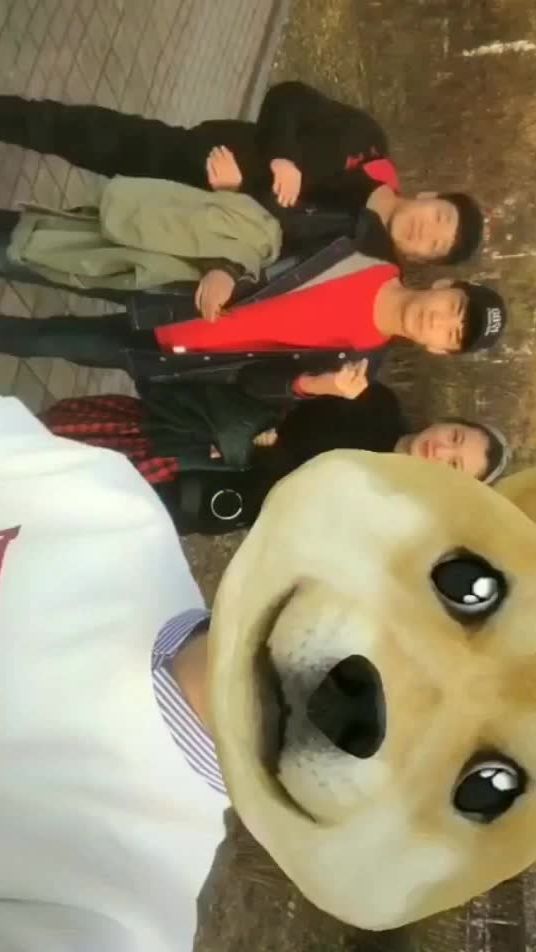 TikTok video thumbnail by 40103580f