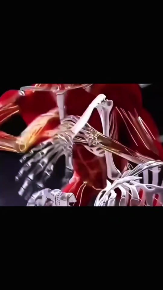 TikTok video thumbnail by valera_shved.ermolaev