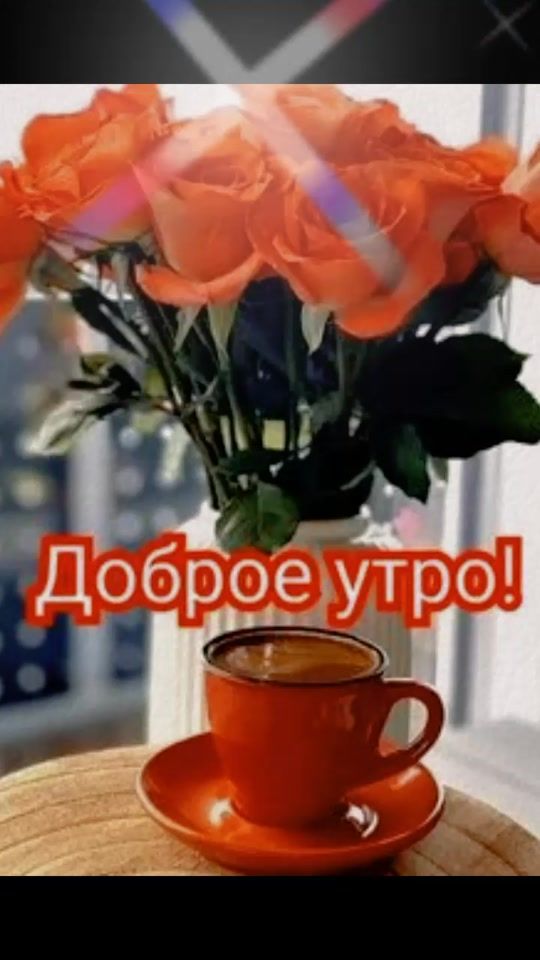 TikTok video thumbnail by bossikya