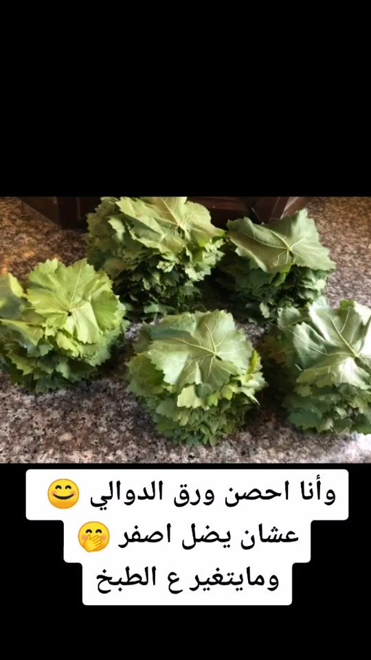 TikTok video thumbnail by joorykitchen0