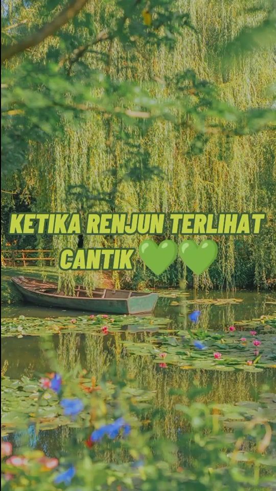 TikTok video thumbnail by watermelonctzen