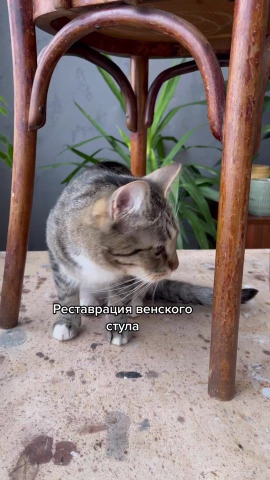 TikTok video thumbnail by katdecor