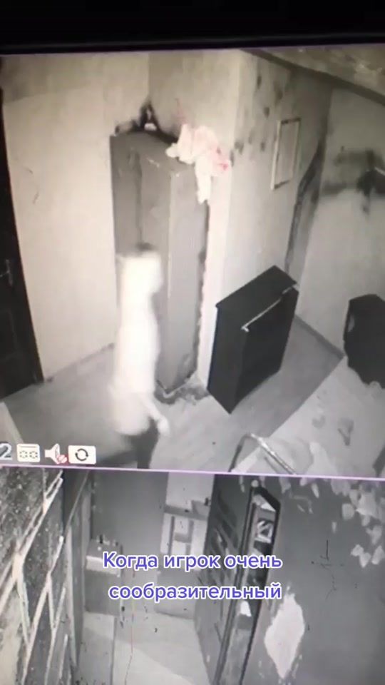TikTok video thumbnail by kvest_exit_nsk