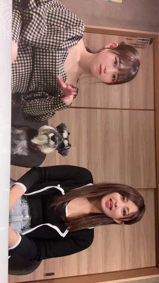 TikTok video thumbnail by joyfull0805