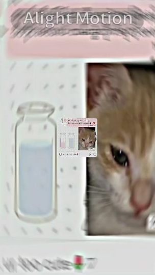 TikTok video thumbnail by yourname101023