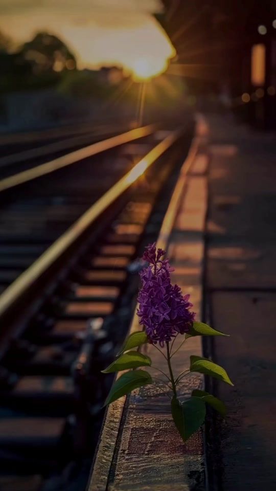 TikTok video thumbnail by lr_rakib_10m