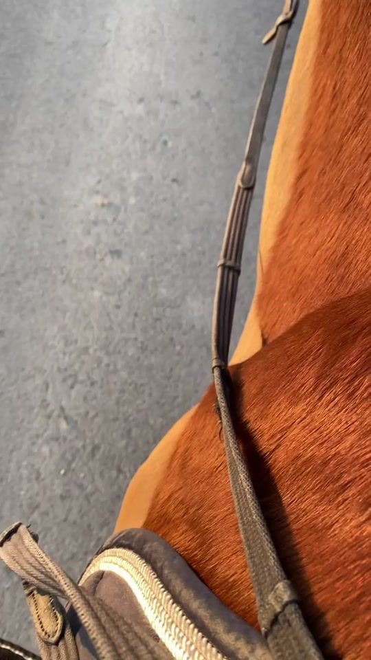 TikTok video thumbnail by diana.ride