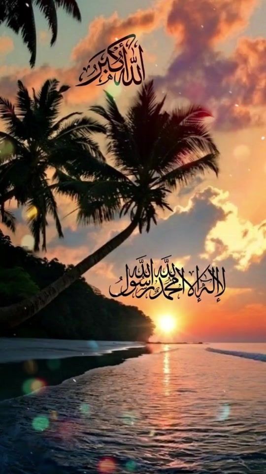 TikTok video thumbnail by ta8wa9