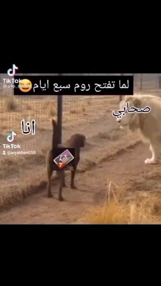 TikTok video thumbnail by aryakhan050
