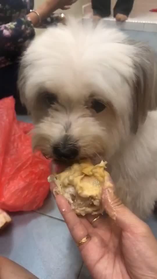 TikTok video thumbnail by alicechew97