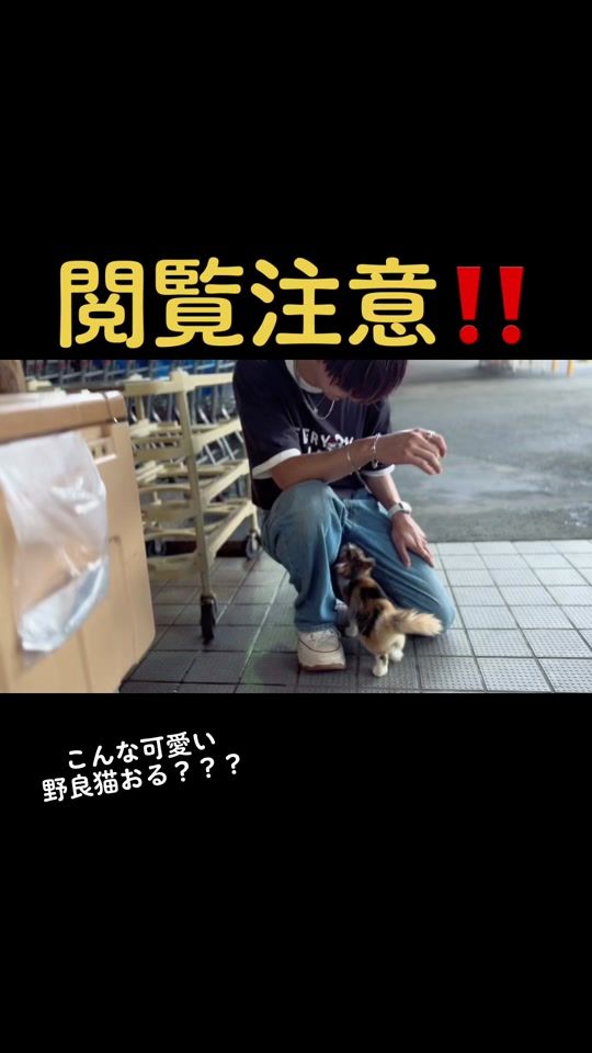 TikTok video thumbnail by 10ryo0802