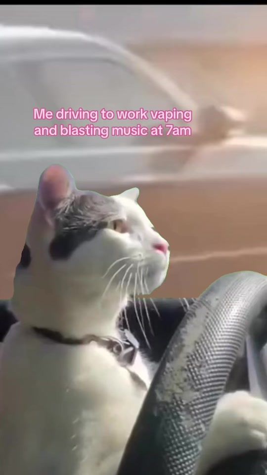 TikTok video thumbnail by daddy.strawberryy