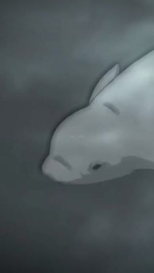 TikTok video thumbnail by shi._.o00