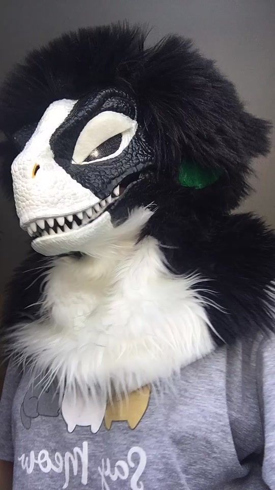 TikTok video thumbnail by miyata_raptor