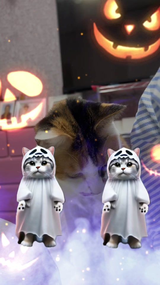 TikTok video thumbnail by manaandfuku