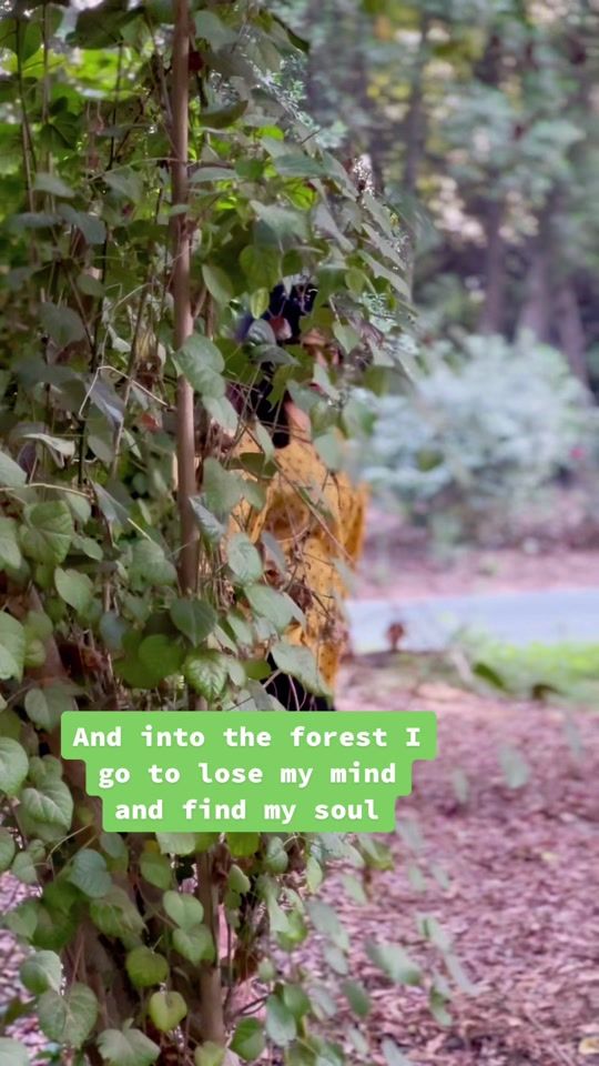TikTok video thumbnail by tani_rani