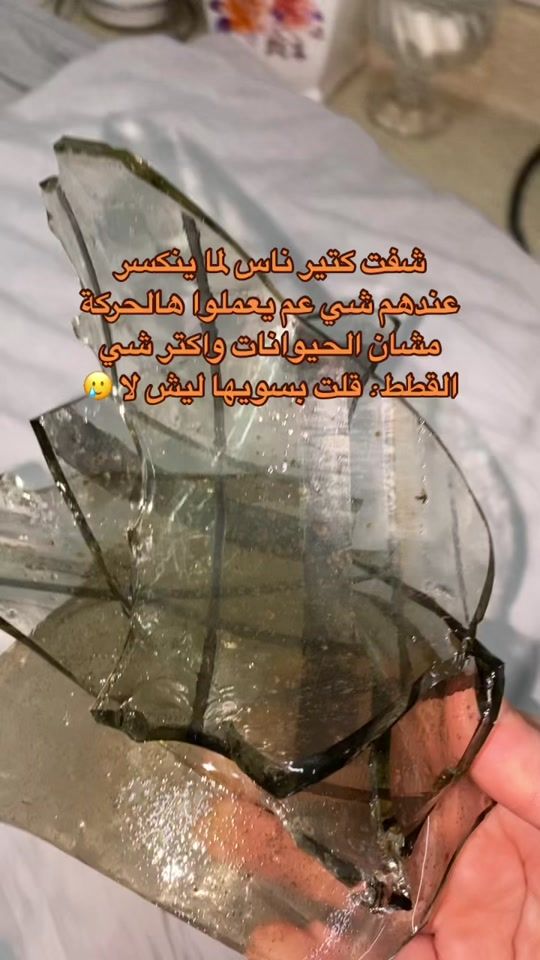 TikTok video thumbnail by sh.a7.7