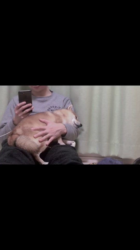 TikTok video thumbnail by kotaro_mame