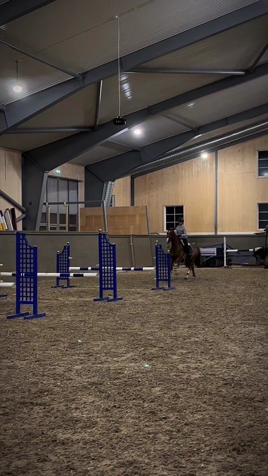 TikTok video thumbnail by _equineedits