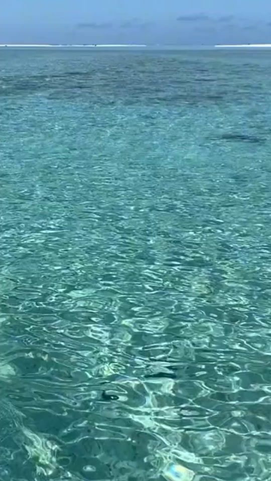 TikTok video thumbnail by gi.giu22