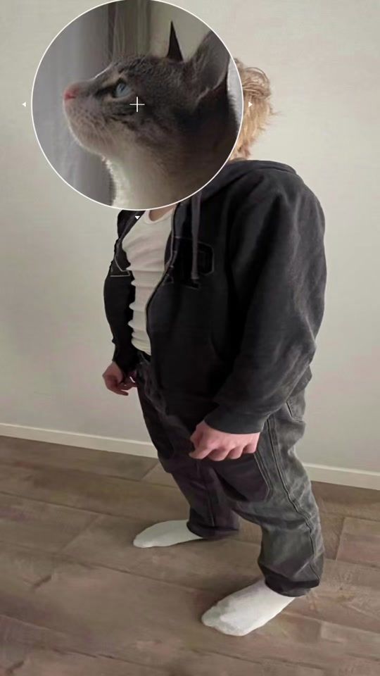 TikTok video thumbnail by shortomi