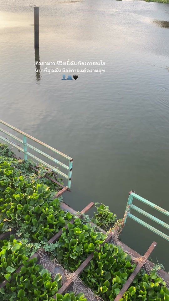 TikTok video thumbnail by suwit484