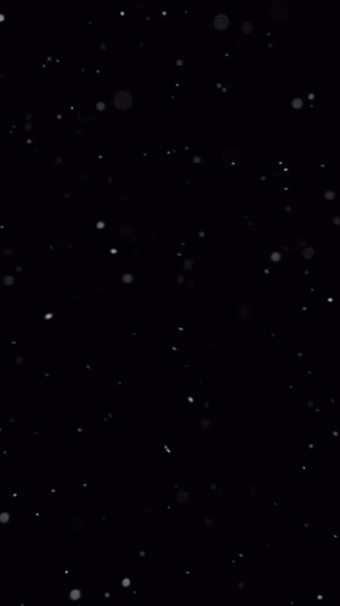TikTok video thumbnail by bloopswim