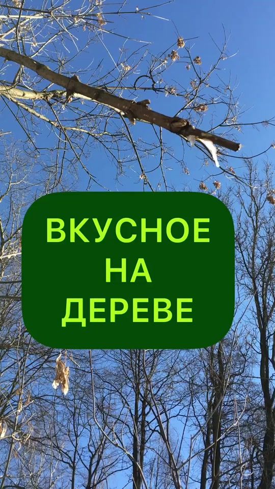 TikTok video thumbnail by antiborschevik