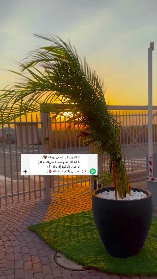TikTok video thumbnail by _bdwe_5