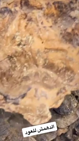 TikTok video thumbnail by salman_dahmash