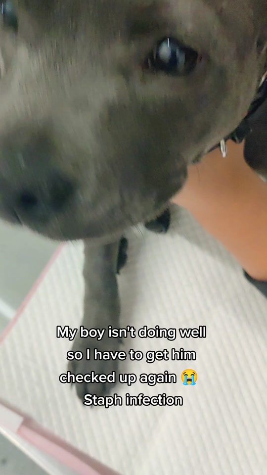 TikTok video thumbnail by sherekhan9