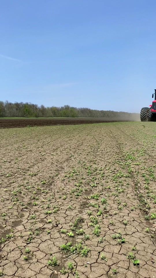 TikTok video thumbnail by agrofamily