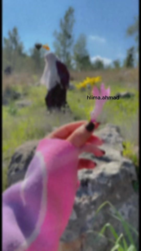 TikTok video thumbnail by hlima.ahmad