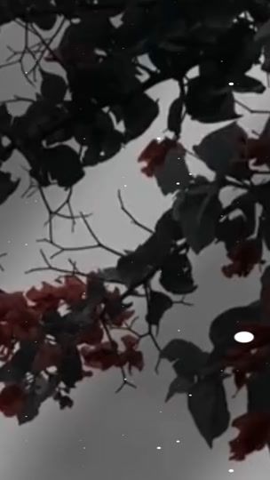 TikTok video thumbnail by x___j_76