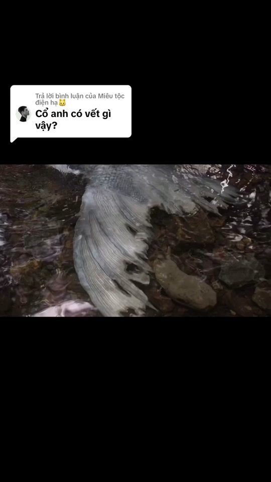 TikTok video thumbnail by hoaithanh_101092